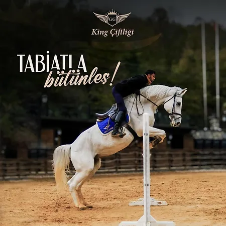 Θέρετρο King Karamandere