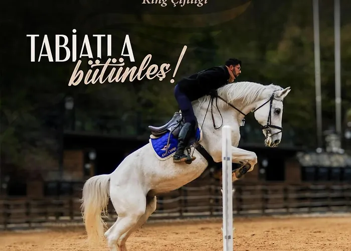 منتجع King Karamandere